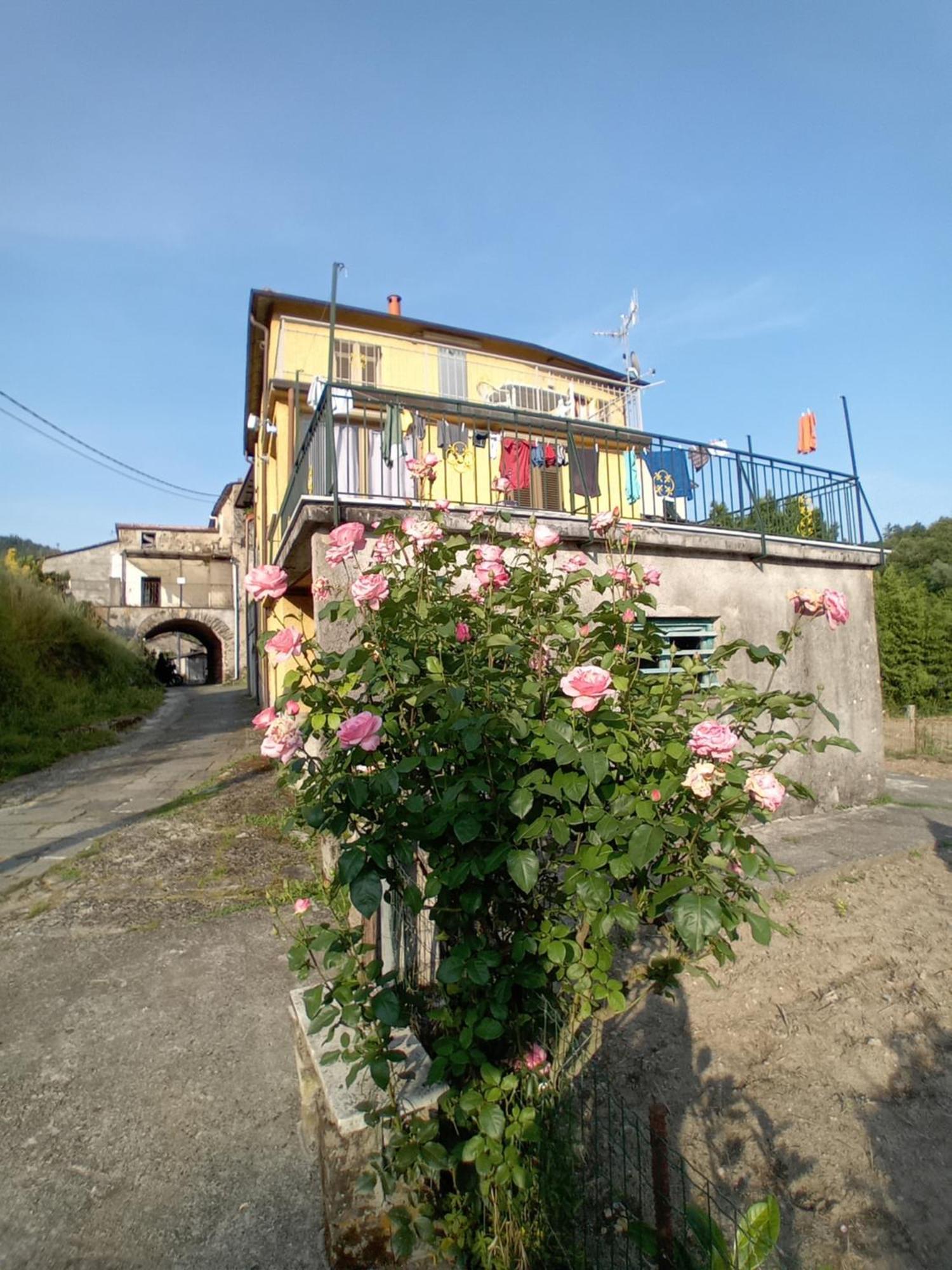 Agriturismo Ghirlanda Norma Rita Carrodano Inferiore Exterior photo